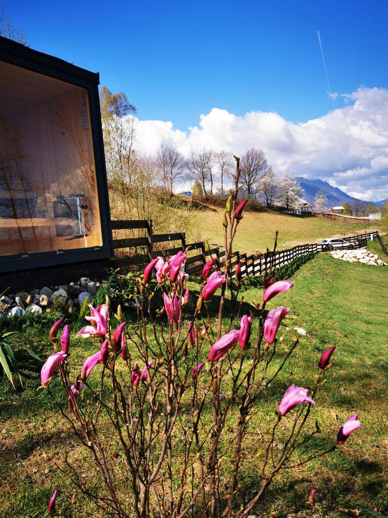 Doza De Verde Retreat&Spa Bran-Adults Only Sohodol  外观 照片